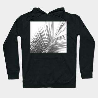 Black and white abstract palm leaves Hoodie